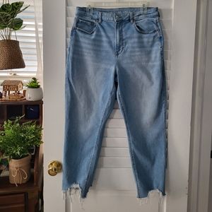 American Eagle Mom Jeans